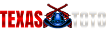 Texastoto Logo